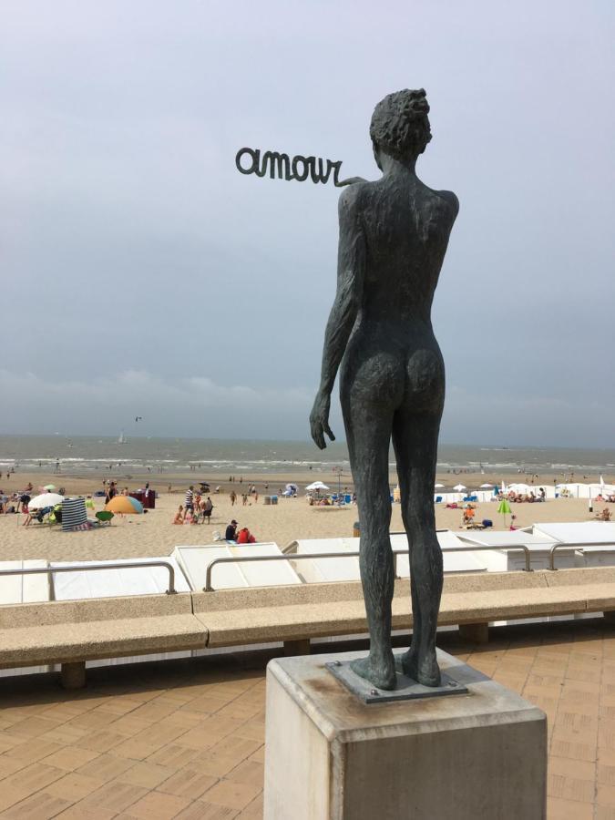 Knus Appartement Met Zicht Op Zeepolder De Haan Dış mekan fotoğraf